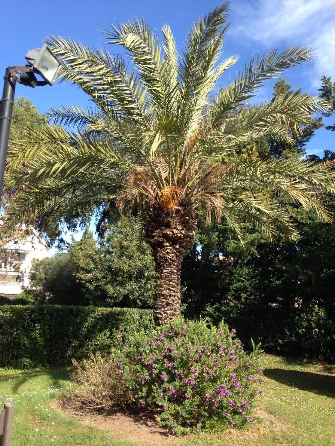 Apartment Eden Saint Tropez Екстер'єр фото
